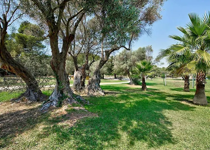 Resort Club La Font Des Horts 3*